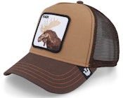 Hatstore Exclusive x The Moose Rack Brown Trucker