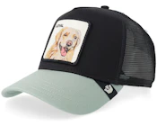 The Loyal Dog Void A-Frame Trucker