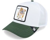 Premium Bulldog Platinum Trucker