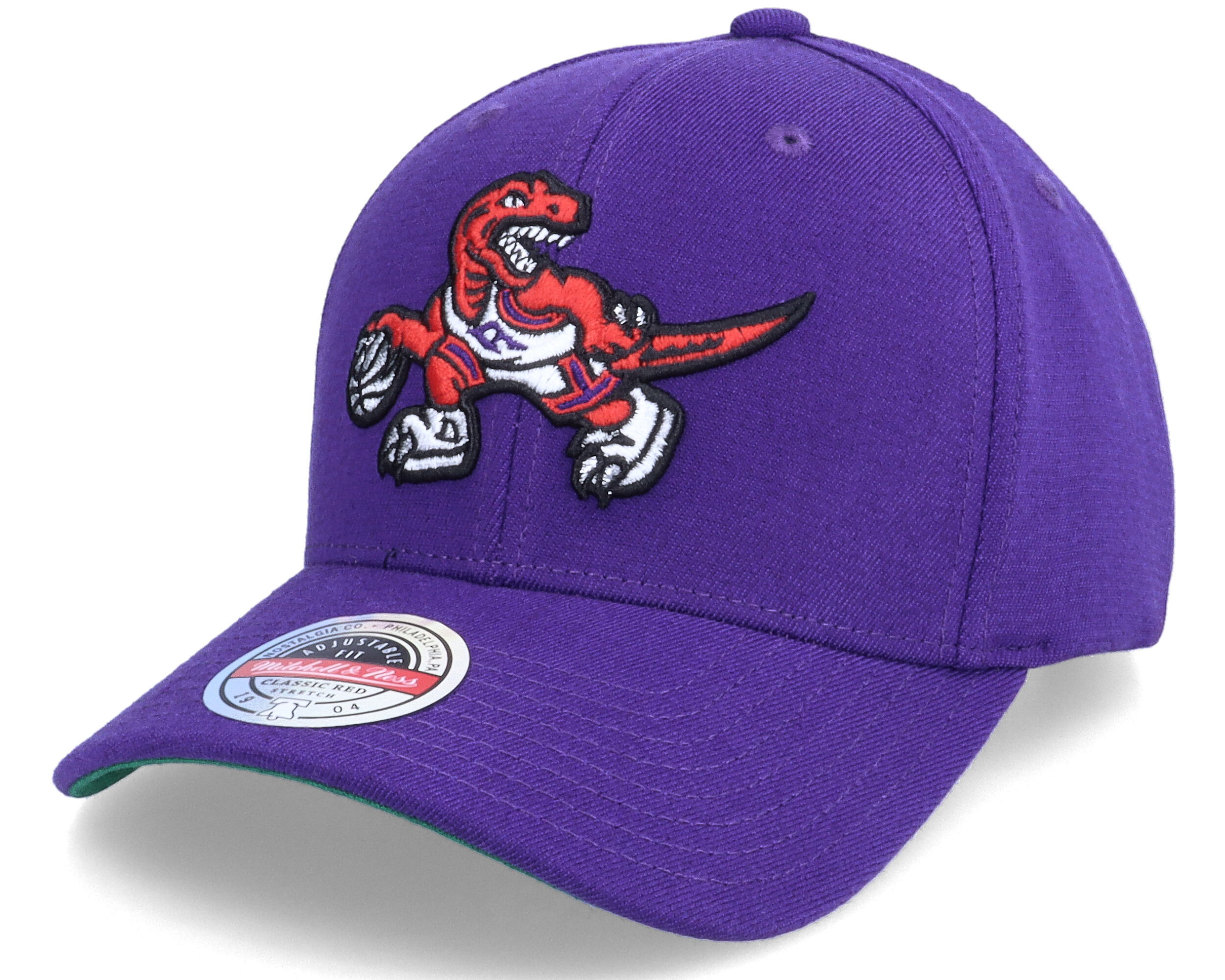 Toronto Raptors Team Ground Stretch Hwc Purple Adjustable