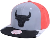 Chicago Bulls Day 5 Grey/Red Snapback