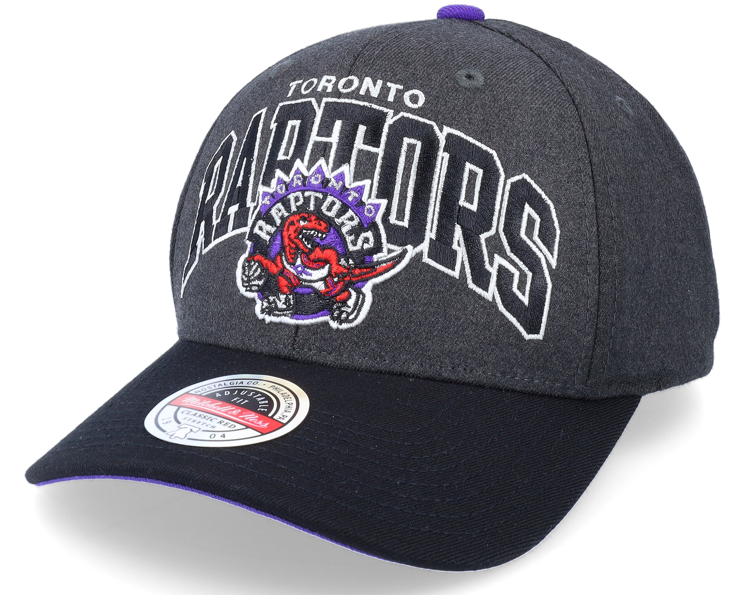 Toronto Raptors G2 Arch Grey/Black Adjustable Mitchell Ness