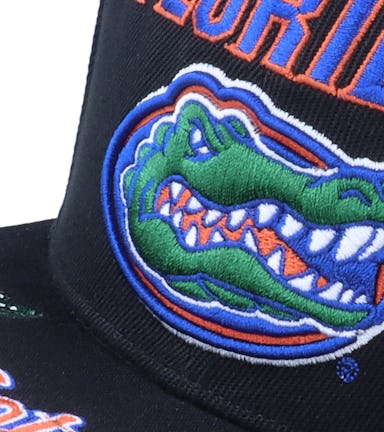 Florida Gators Front Loaded Black Snapback - Mitchell & Ness