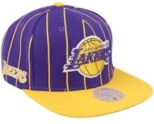 Los Angeles Lakers Team Pin Purple Snapback - Mitchell & Ness