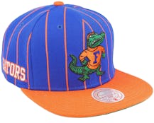 Florida Gators Team Pin Blue/Orange Snapback - Mitchell & Ness