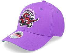 Toronto Raptors Team Ground 2.0 Stretch Purple Adjustable - Mitchell & Ness