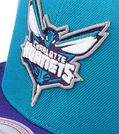 Charlotte Hornets Team 2 Tone 2.0 Teal/Purple Snapback - Mitchell & Ness