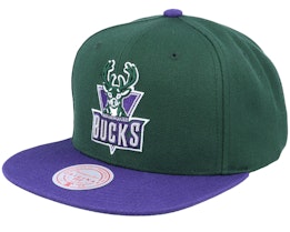 Milwaukee Bucks Team 2 Tone Green/Purple Snapback - Mitchell & Ness