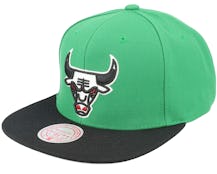 Chicago Bulls Core Basic Green/Black Snapback - Mitchell & Ness