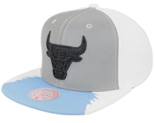 Chicago Bulls Day 5 Grey/White/Blue Snapback - Mitchell & Ness