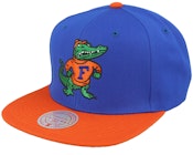 Florida Gators Team 2 Tone 2.0 Green/Orange Snapback