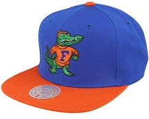 Florida Gators Team 2 Tone 2.0 Green/Orange Snapback - Mitchell & Ness