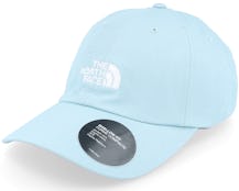 Norm Hat Reef Waters Dad Cap - The North Face