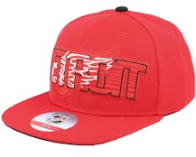 Detroit Red Wings Life Style Grphic Snapback - Outerstuff
