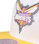 Charlotte Hornets Brotherhood Nba White/purple Snapback - Mitchell & Ness