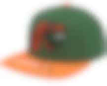 Florida A&M Logo Bill Green/Orange Snapback - Mitchell & Ness