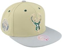 Milwaukee Bucks Team Ground 2.0 Stretch Green Flexfit - Mitchell & Ness cap
