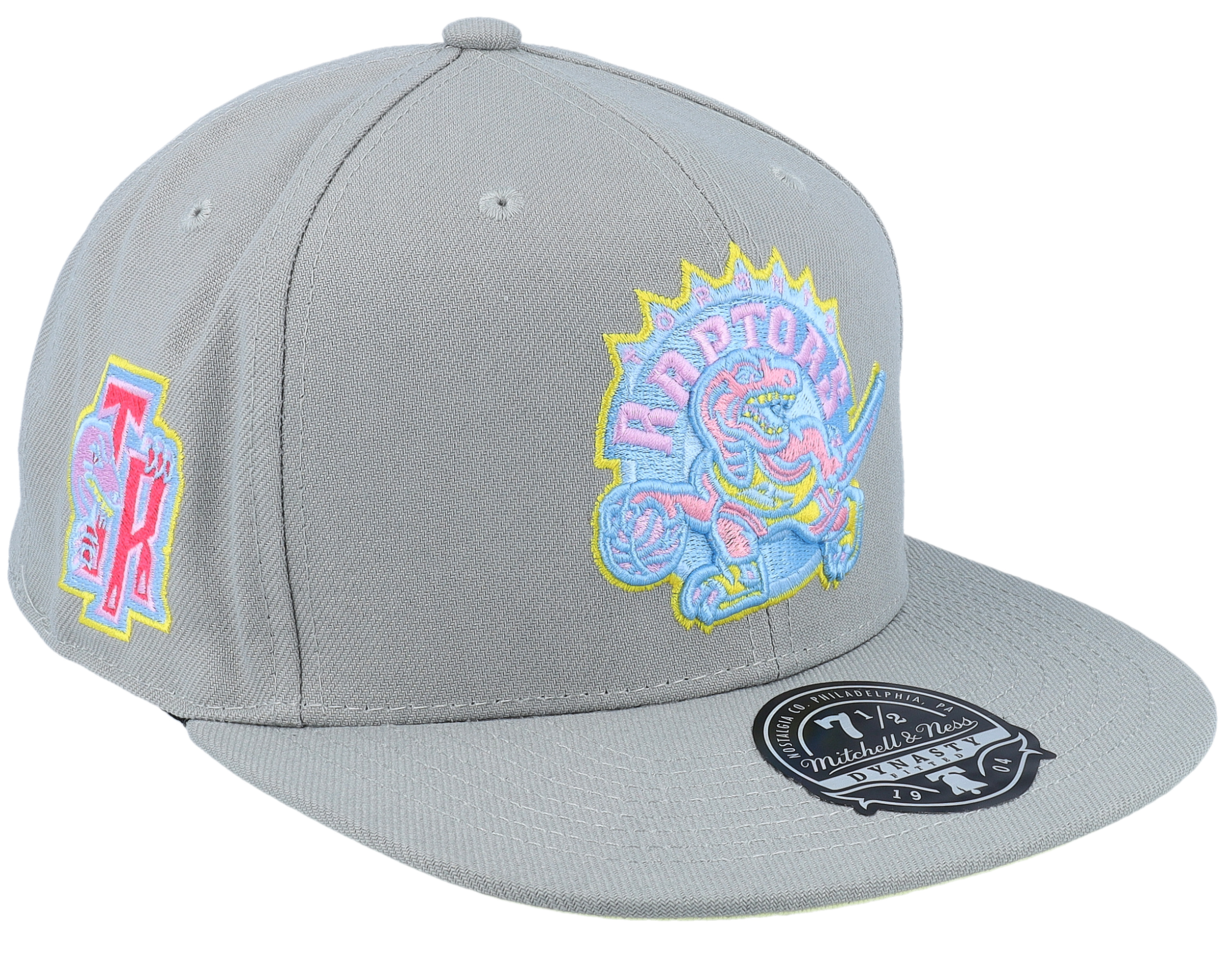 Mitchell & Ness Toronto Raptors Basic 2 Tone Dynasty Fitted Hat