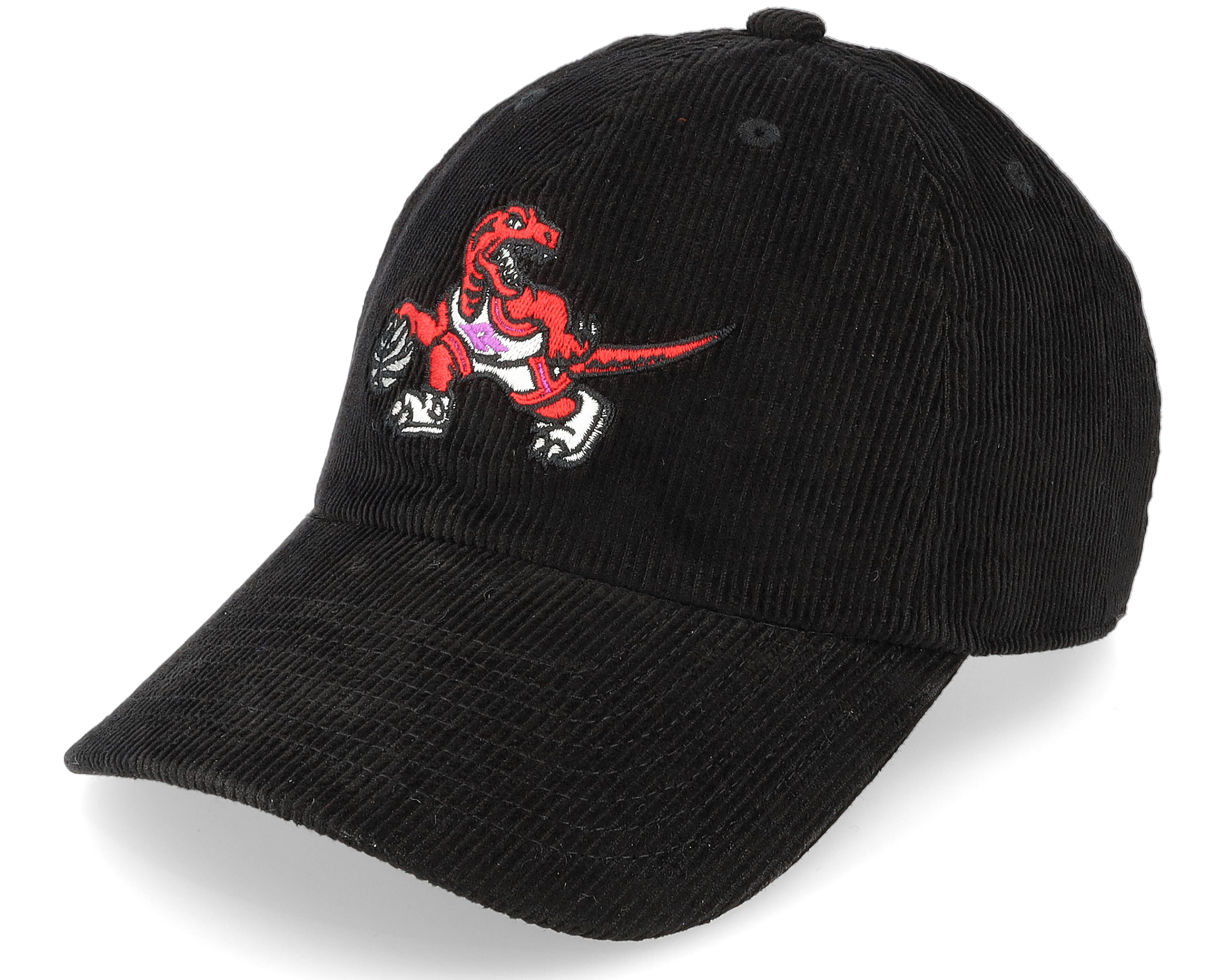 Raptors dad hot sale cap