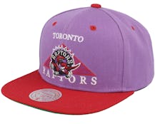 Toronto Raptors Monument Purple Snapback - Mitchell & Ness