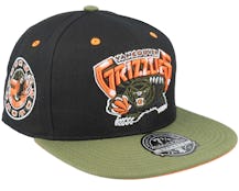 Vancouver Grizzlies Take Flight Black/Green Fitted - Mitchell & Ness