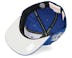Tampa Bay Lightning Vintage Blue Fitted - Mitchell & Ness