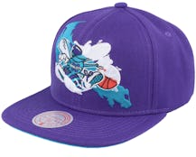 Charlotte Hornets Paint By Number Hwc Purple Snapback - Mitchell & Ness