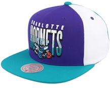 Charlotte Hornets Billboard 2 Hwc Purple/Teal Snapback - Mitchell & Ness
