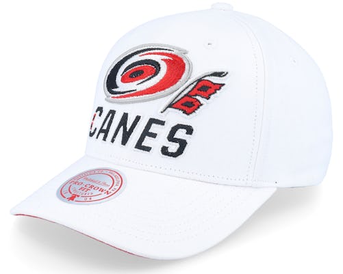 Mitchell & Ness Carolina Hurricanes All-In Snapback Adjustable Hat, Men's, White