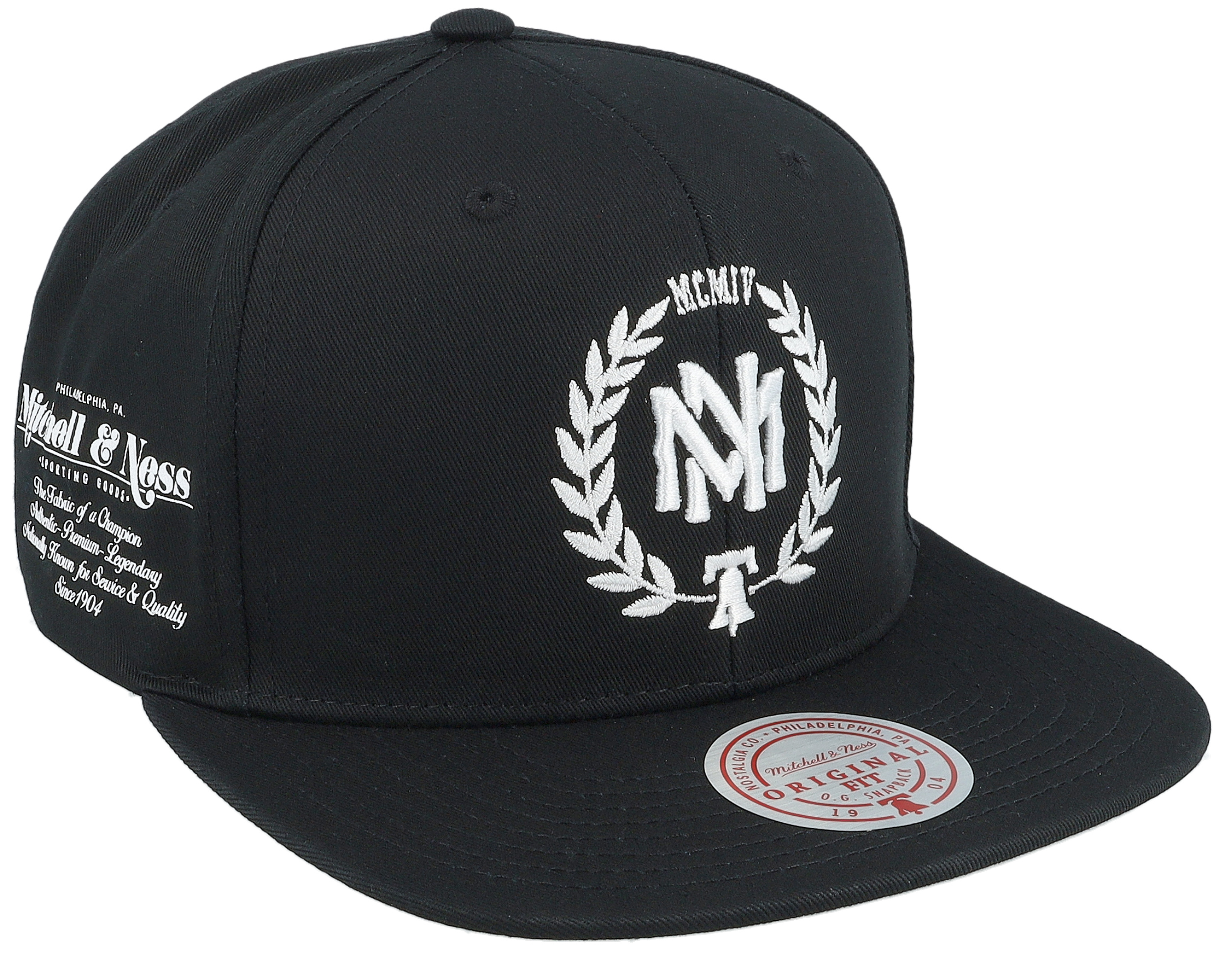 mitchell and ness all star hat