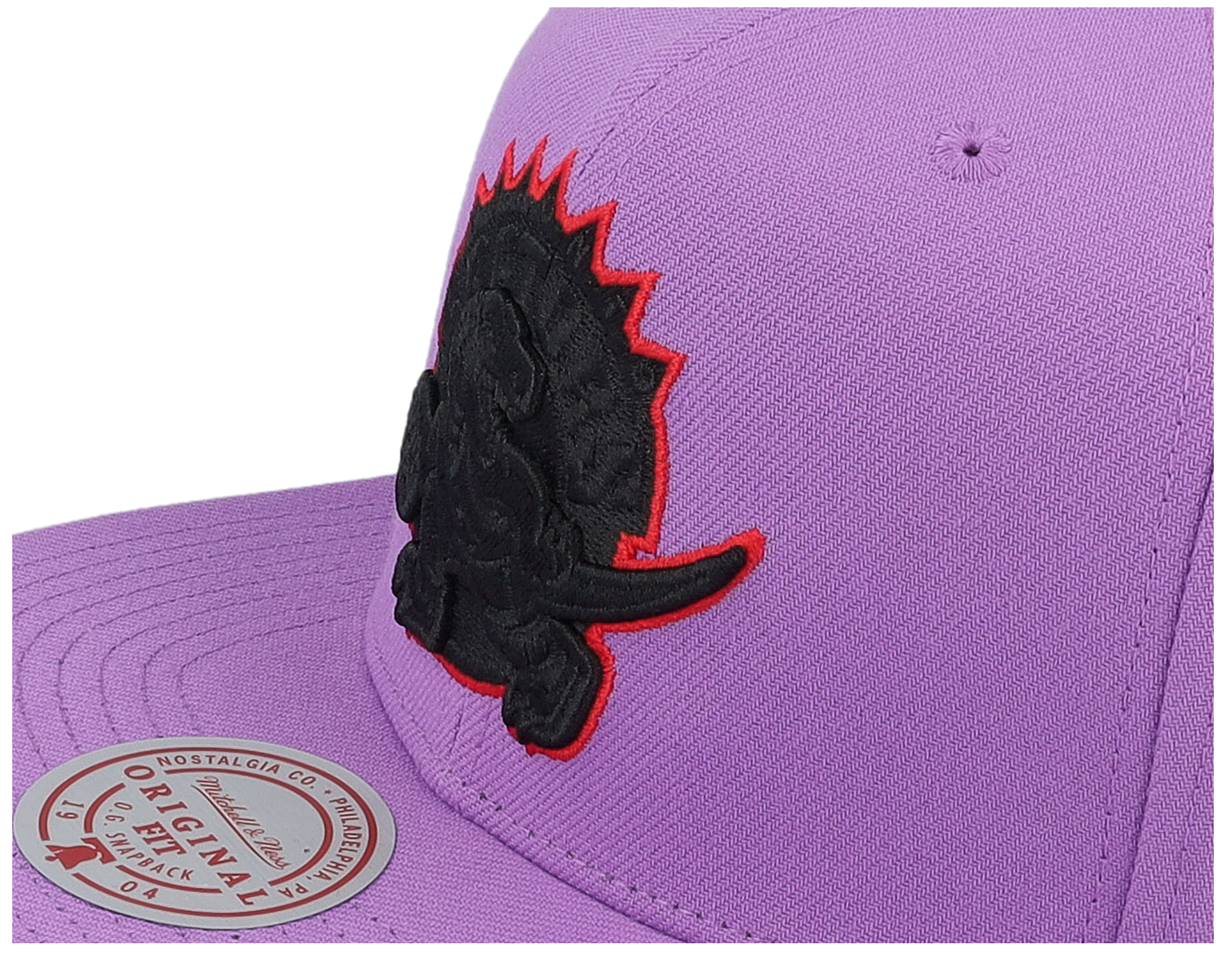 Toronto Raptors Logo Eclipse Purple Snapback
