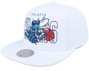 Charlotte Hornets See Through Hwc White Snapback