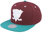 Anaheim Ducks Evergreen Crispy White Vintage Purple/Teal Snapback