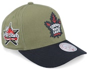 Hatstore Exclusive x Toronto Maple Leafs Pro Crown Green/Black A-frame Adjustable