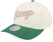 Chicago Bulls Green Orange Pro Crown Cream/Green Adjustable