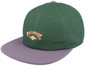 Global Arch Fern/Purple Strapback