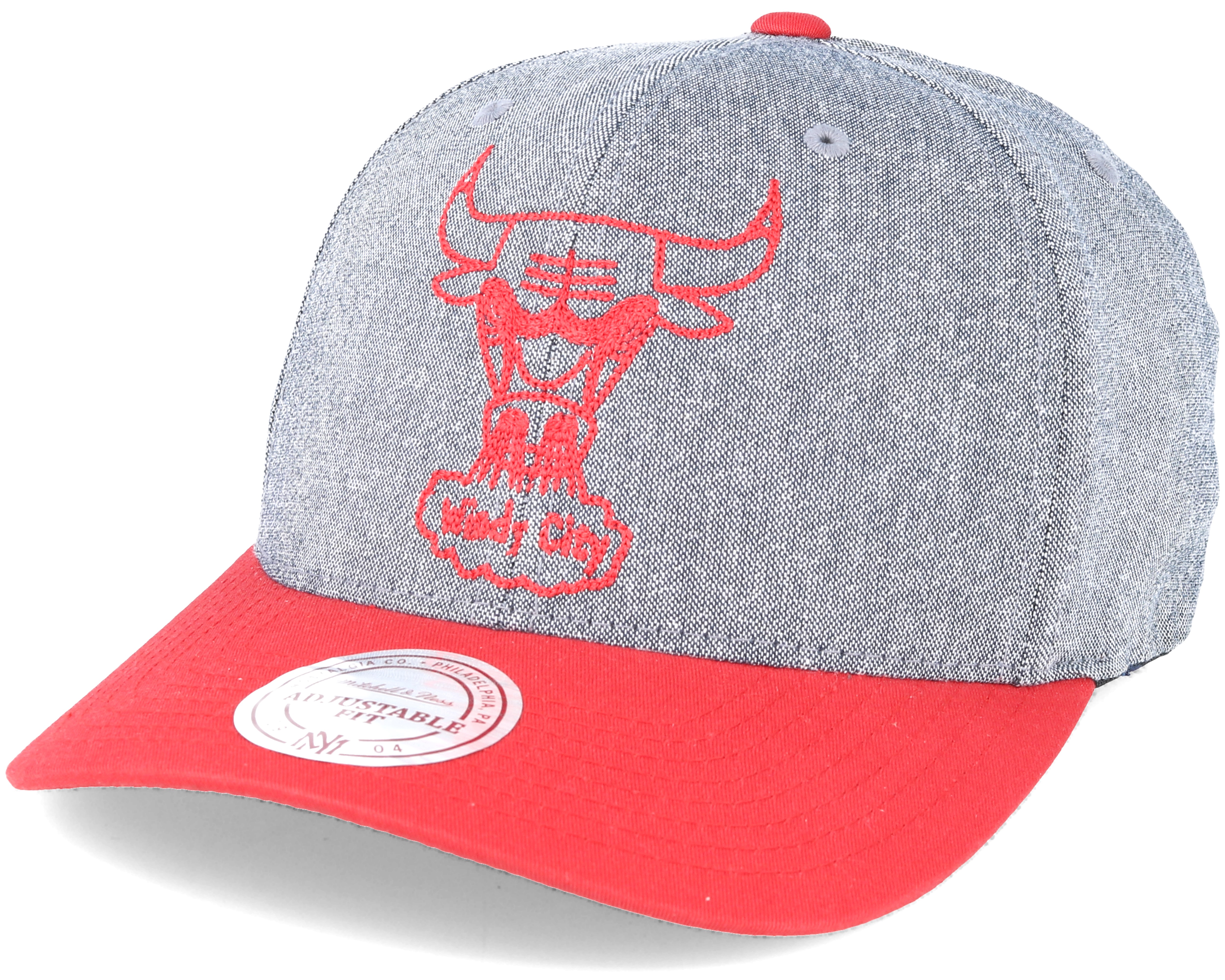 Chicago Bulls Link Flex 110 Grey/Red Adjustable