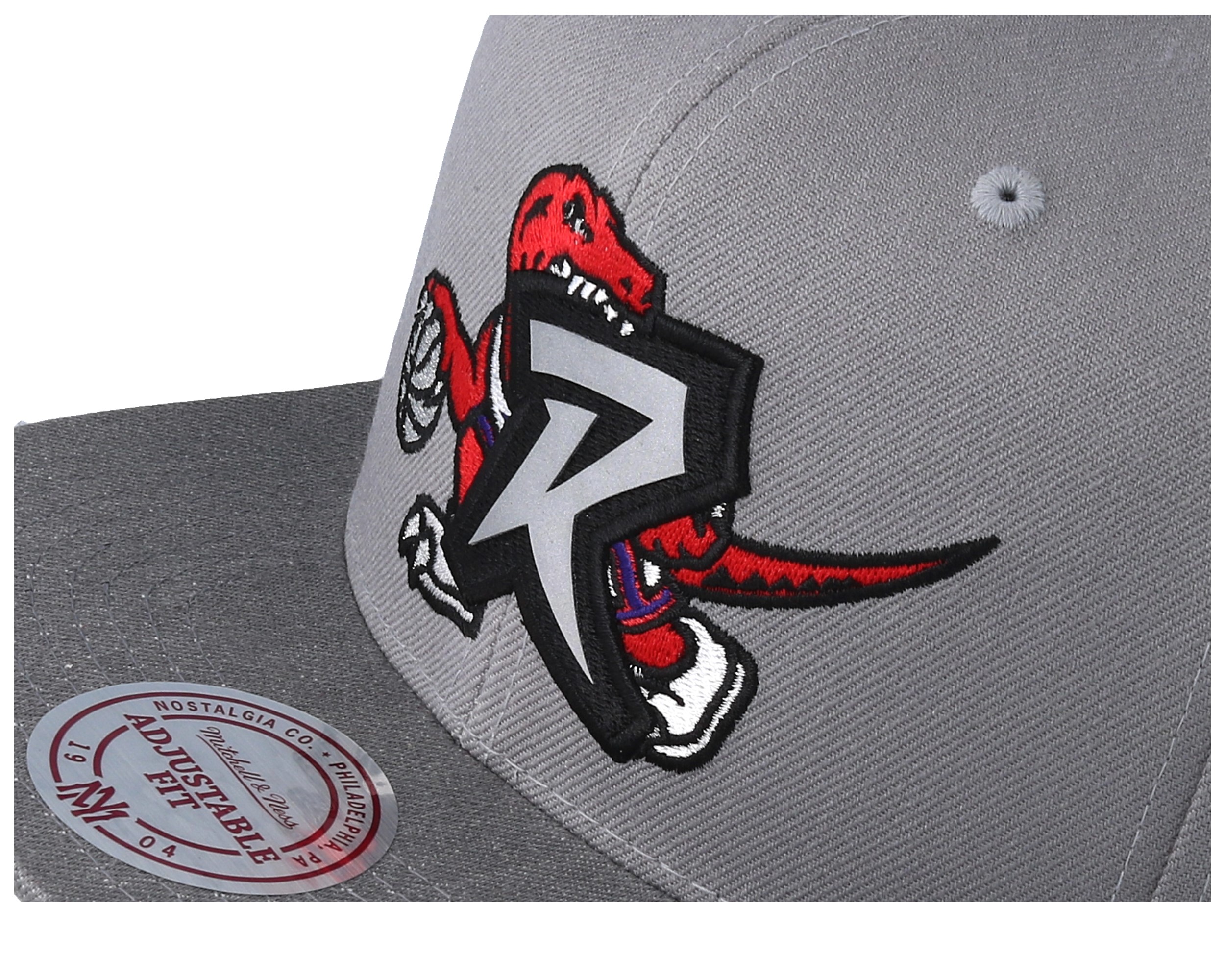 Baseball Cap Grey Raptors Hat Toronto Raptors Overlap Grey