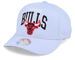 Chicago Bulls Team Arch Grey 110 Adjustable - Mitchell & Ness