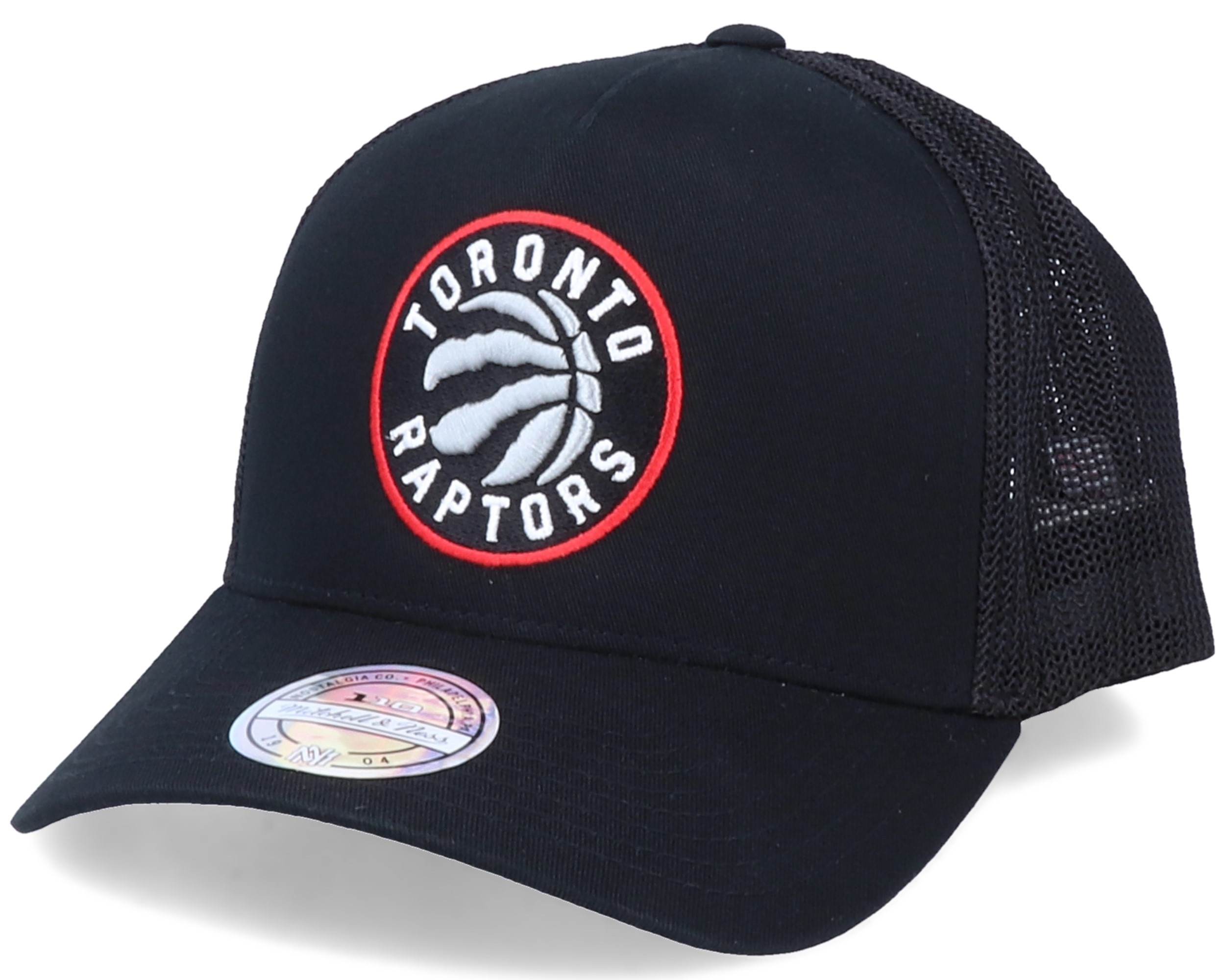Toronto Raptors Team Logo Black 110 Trucker - Mitchell