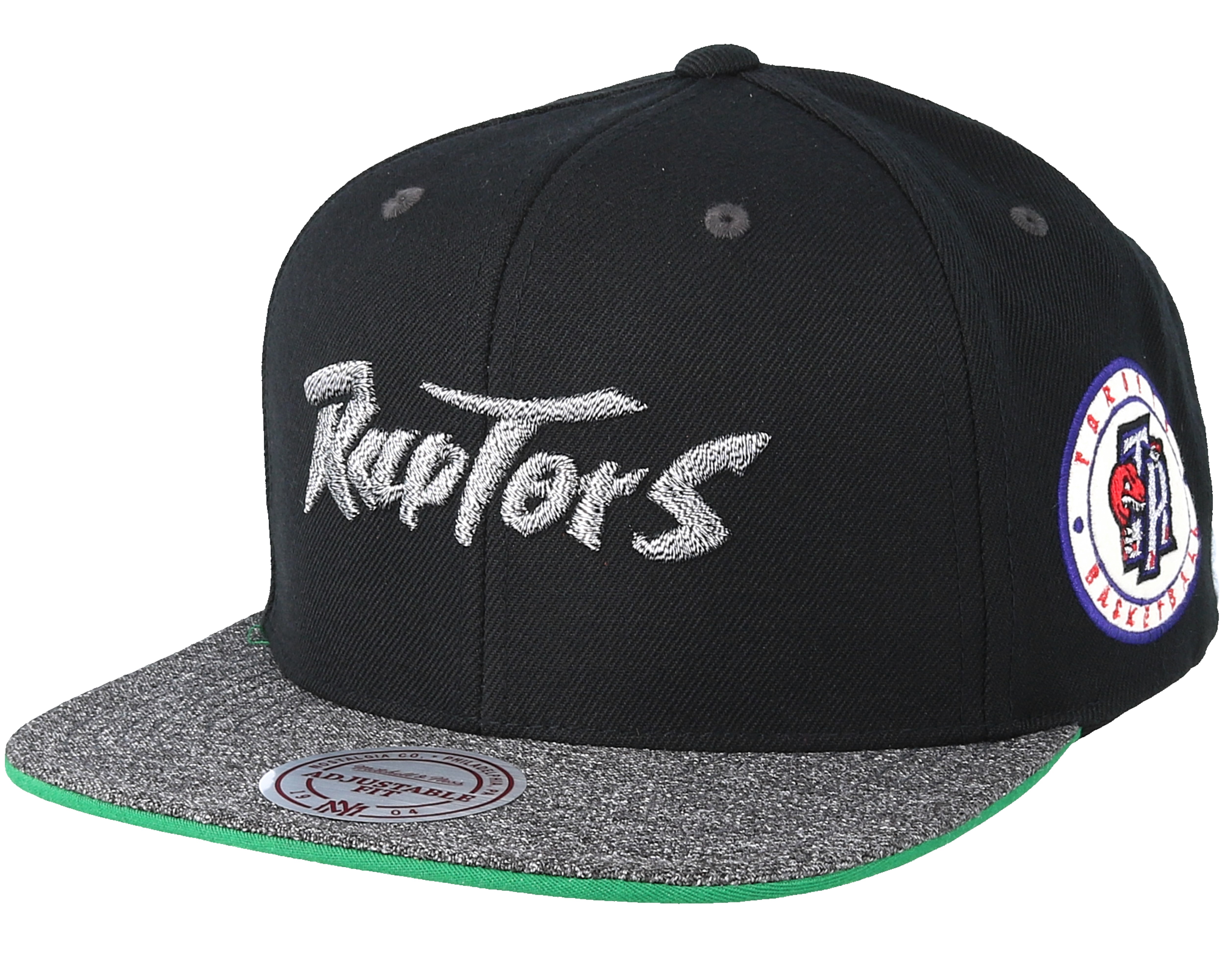 Mitchell & Ness Toronto Raptors Script Dad Hat in Black for Men