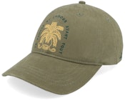 Diaz Lichen Green Dad Cap