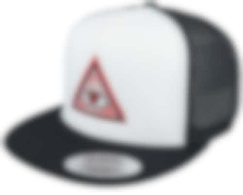 Verbeteren schildpad Hamburger Illuminati Classic Trucker Black/White Snapback - Iconic Cap | Hatstore.be