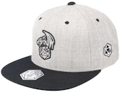 Dice And Dragons Heather Grey/Black Snapback
