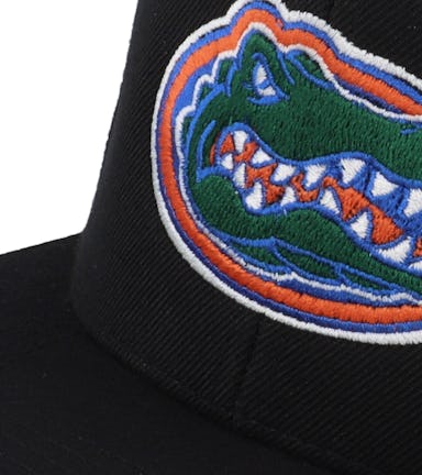 Florida Gators Logo Black Snapback - Park Fields