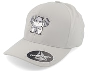 Buff Hamster Working Out Delta Silver Flexfit