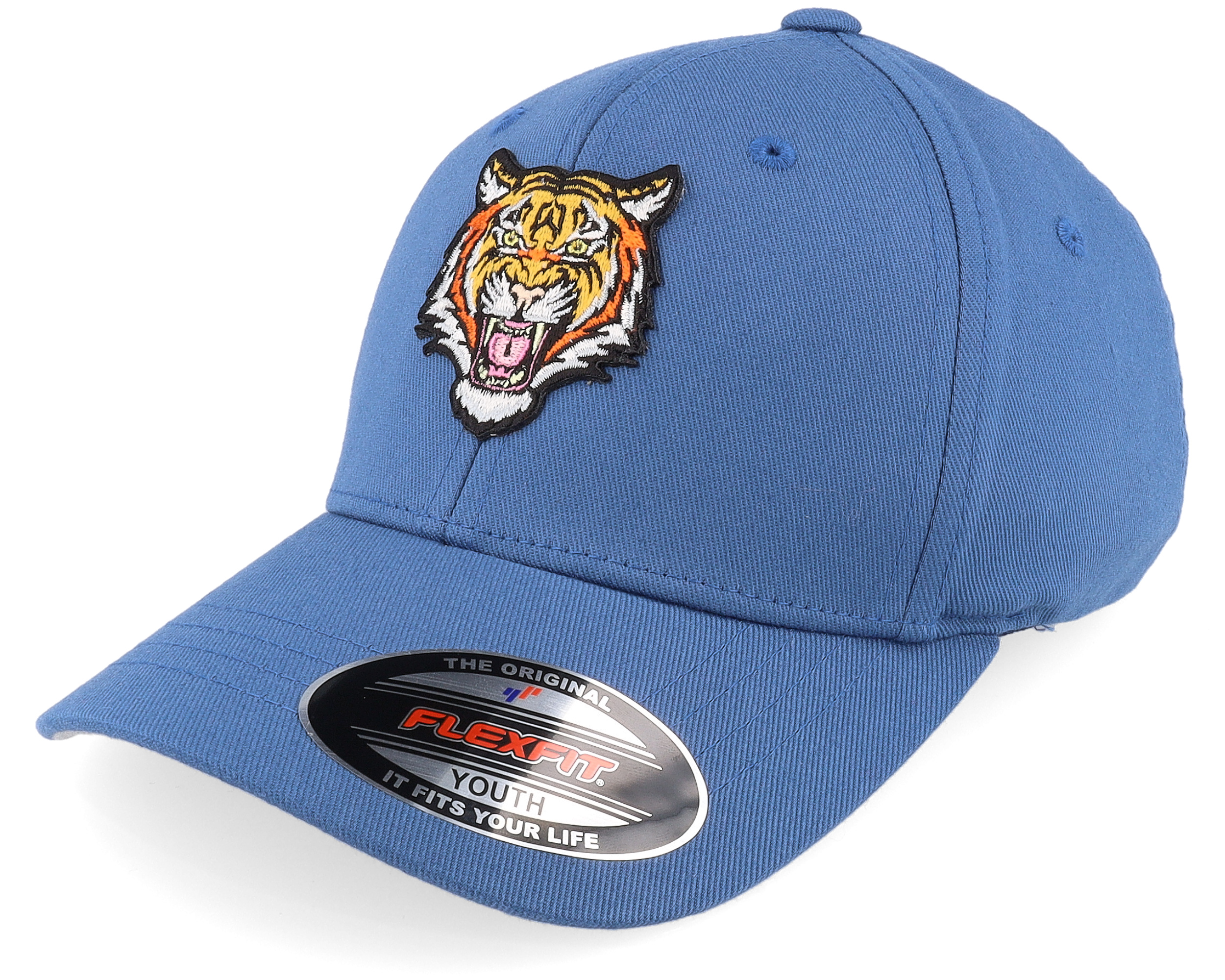 Tiger Baseball Hat 