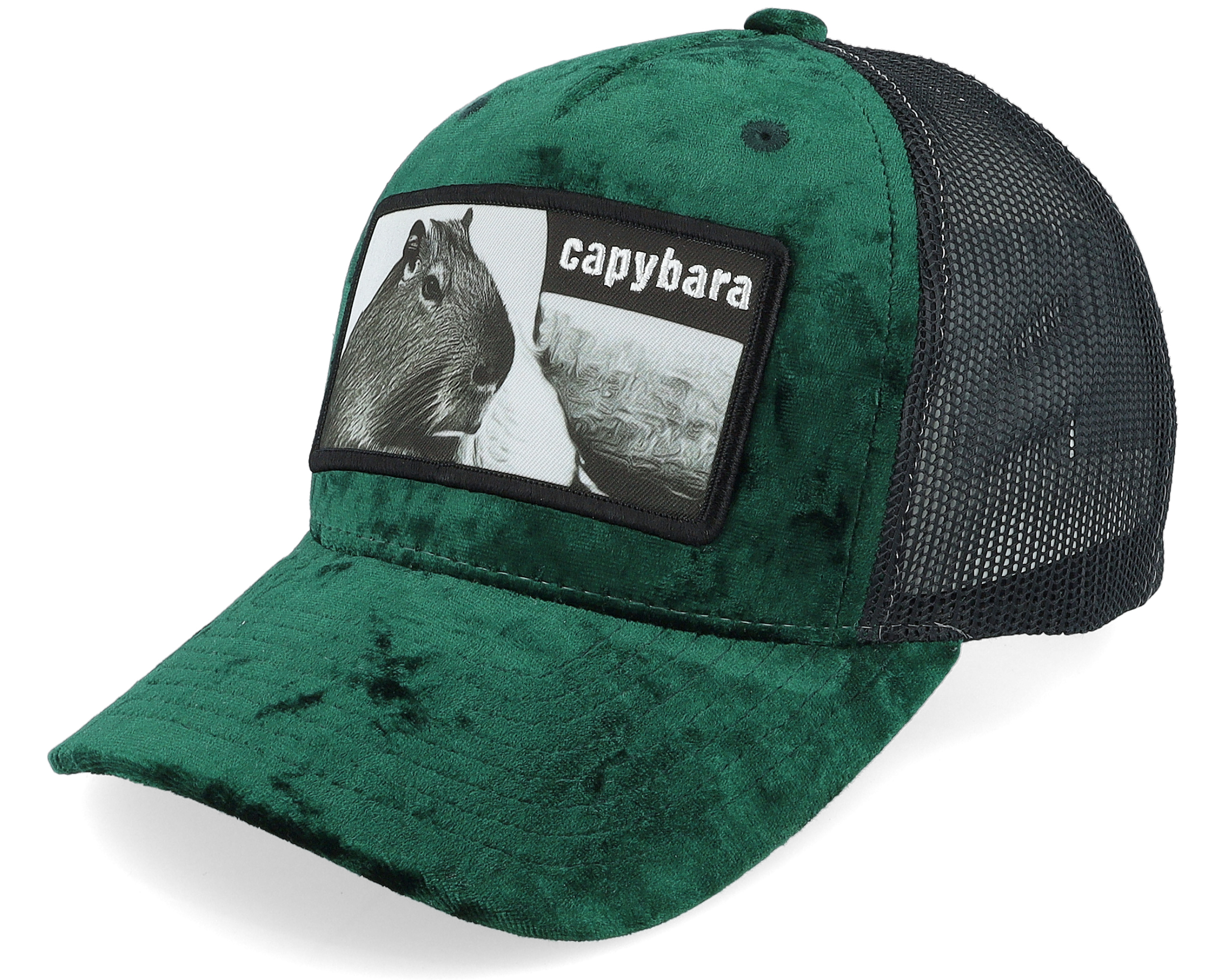 Caps Kids Youth Capybara Sofa Velvet Green/Black - Iconic