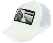 Kids Youth Capybara Sofa Velvet White Trucker