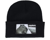 Capybara Sofa Beanie Black Cuff